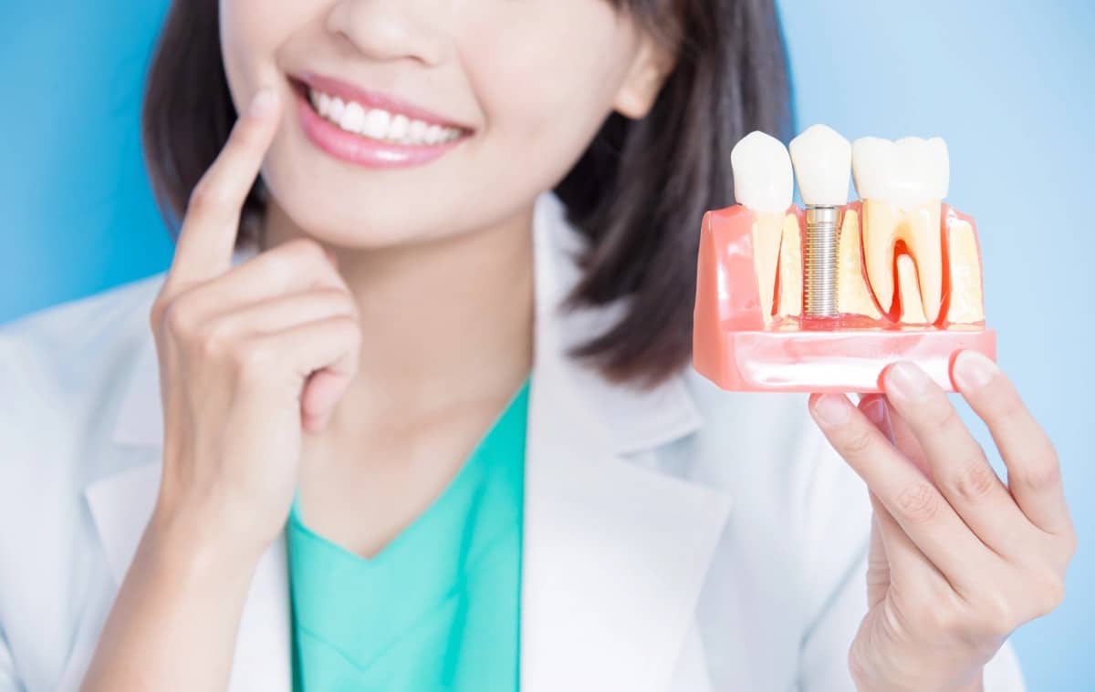 dentist with implant tooth model