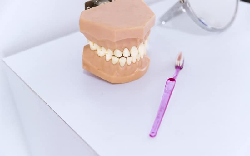 close up teeth model toothbrush table 