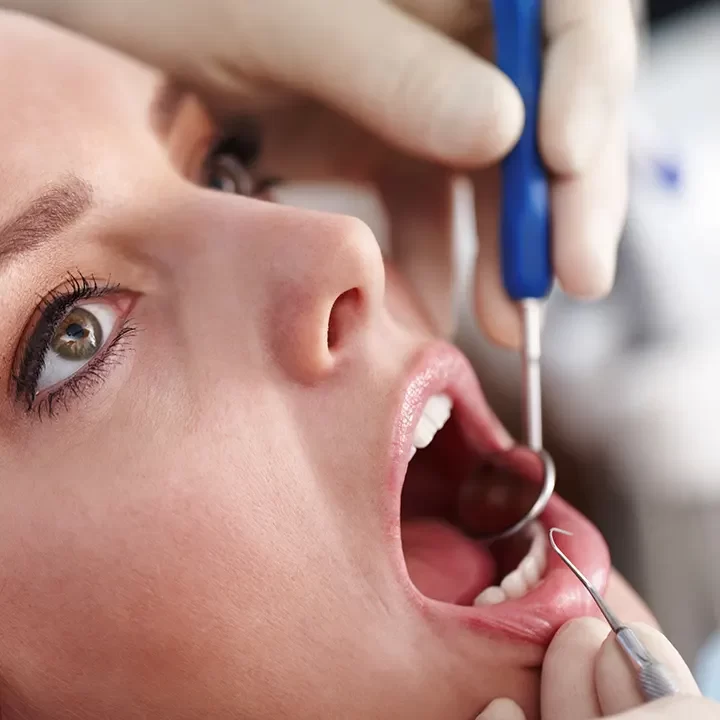 Dentist in Royal Orchard